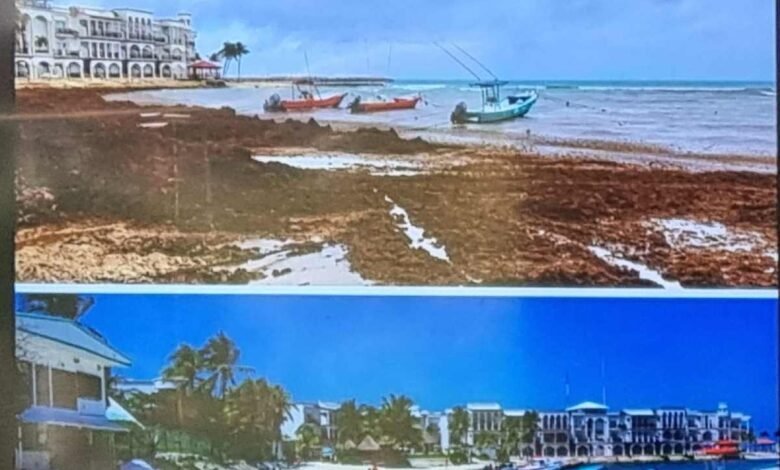 Éxito en Playa del Carmen: La presidenta Lili Campos lidera esfuerzos para recuperar la playa El Recodo