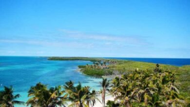 Recuperación del Turismo en Isla Contoy: Náuticos Buscan Ampliar la Afluencia