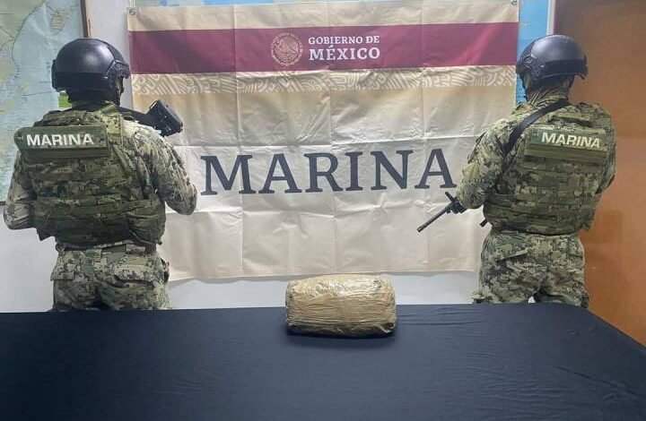 Operativo naval detecta y confisca más de 5 kg de cannabis en costa de Cozumel