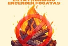 Aplicarán en Tulum todo el peso de la ley para evitar quemas forestales