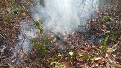 Avanzan labores para extinguir incendios forestales en Tulum y Bacalar